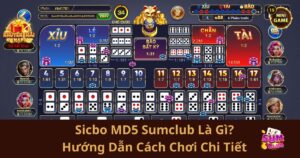 Sicbo MD5 Sumclub Là Gì? Hướng Dẫn Cách Chơi Sicbo MD5 Sumclub Chi Tiết Cho Người Mới Bắt Đầu