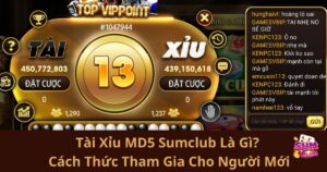 Tài Xỉu MD5 Sumclub Là Gì? Cách Thức Tham Gia Cho Người Mới